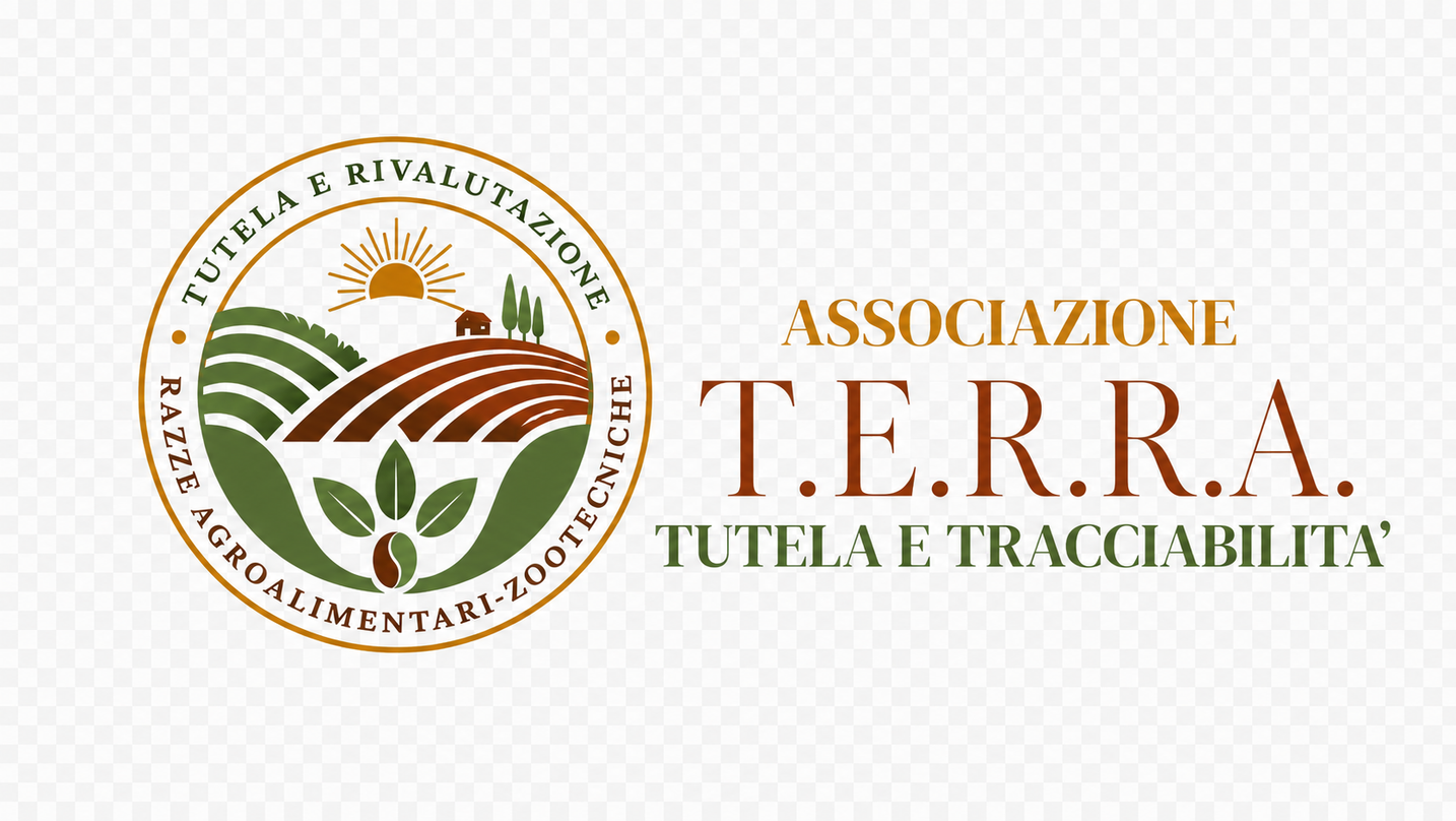 articolo 2